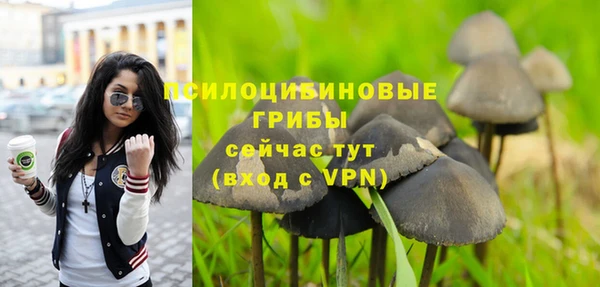 МДПВ Майский